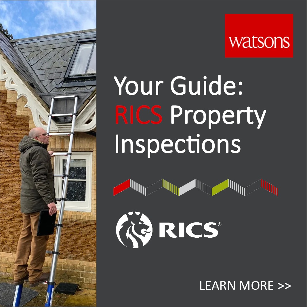 📣 Protect Your Investment

Having a property inspection is essential to gain a clear understanding of its condition and help safeguard your investment.

watsons-property.co.uk/your-guide-to-…

#RICS #propertyinspection #property #surveyor #survey #valuation #surveyorlife