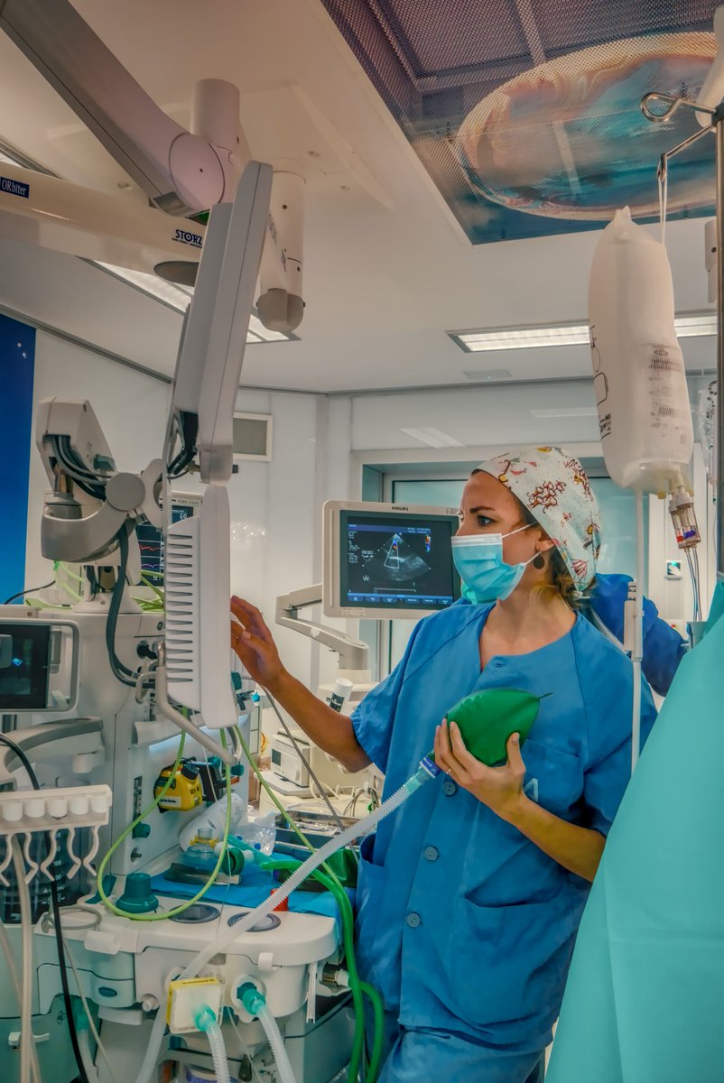 🏥Nuestra Unidad de Anestesiología y Reanimación de los hospitales de Traumatología, de la Mujer e Infantil está formada por más de 480 profesionales cuya función es dar soporte anestésico a las unidades médicas y quirúrgicas.
➡Puedes consultar más en hospitaluvrocio.es/unidad/anestes…