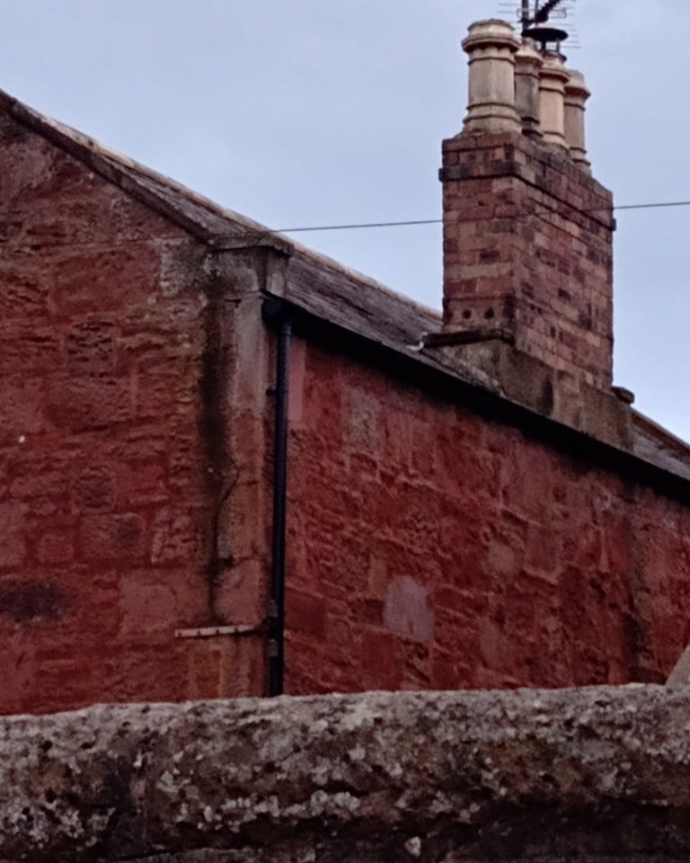 PerthshireWild's tweet image. We had a couple of fantastic #swift walks in Angus this week. In #Arbroath we had a screaming party of 19 - far bigger than expected - and found 2 new nest sites. What a night! They are all now on the #Swiftmapper. Floss was good at listening out for screaming parties 😀