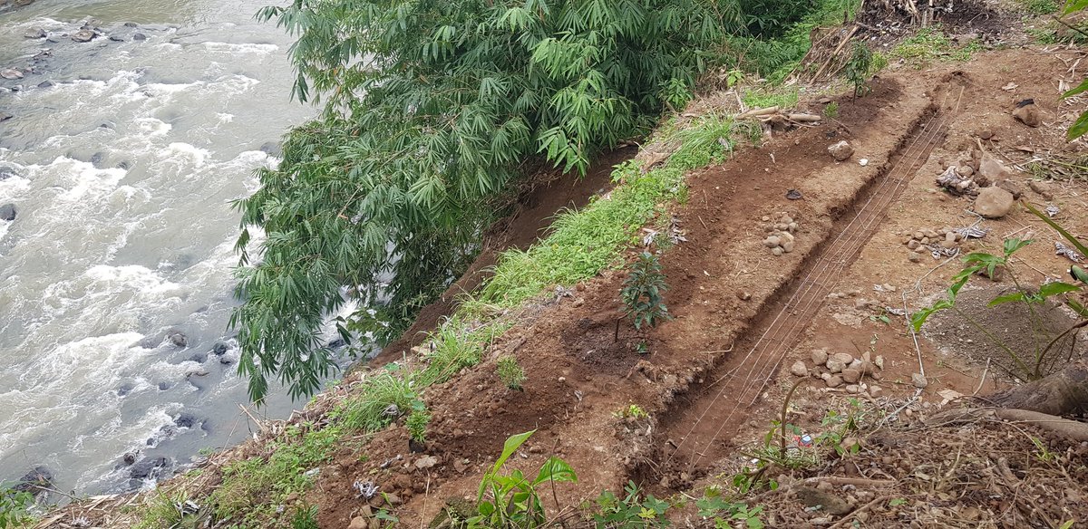 redemptiondrop's tweet photo. Rehab lahan longsor di #TGH

#kabbogor
#ciareteunilir
#prasastitapakgajah https://t.co/usODsnm0cn
