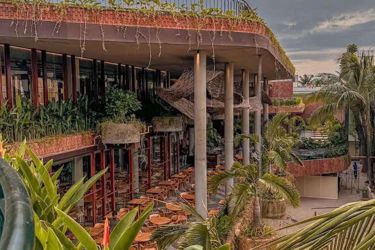 Bangalorereal1's tweet photo. The Palms Brew and Kitchen, JP Nagar, Bengaluru 

Adding to the ever-growing list of breweries in JP Nagar, The Palms Brew and Kitchen on kothnur mai road opens its doors tomorrow. 

#bengaluru #brew #pubs #nightlife #bangalore https://t.co/yizWhJp9pV
