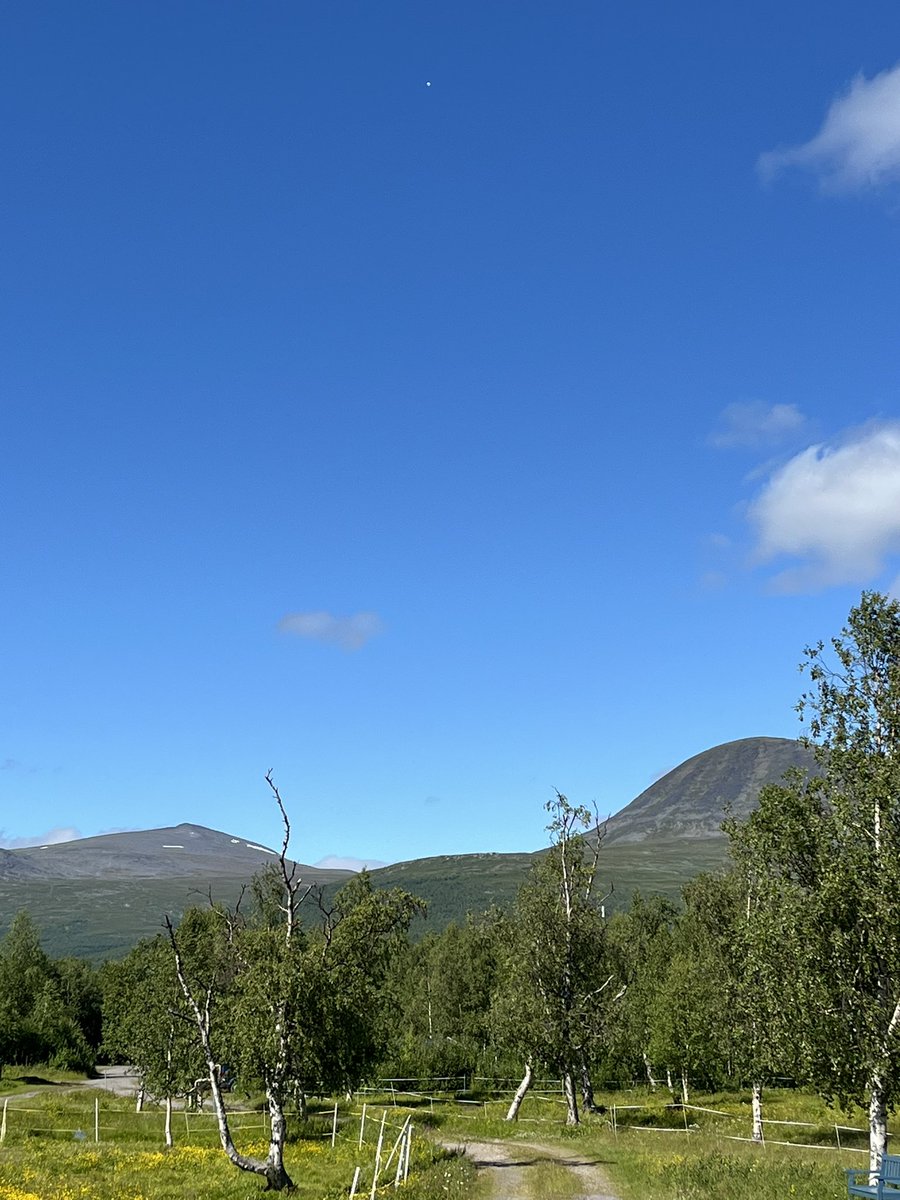 Björn Clemenson tweet media