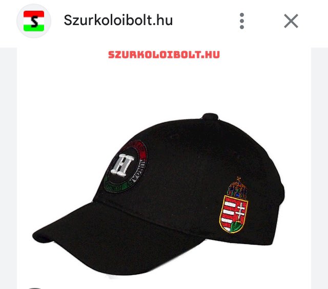 vales7's tweet photo. @swheaton @CivicHungaryFdn Any resemblance to football hooligans attire is purely coincidental https://t.co/eUSowJezyZ