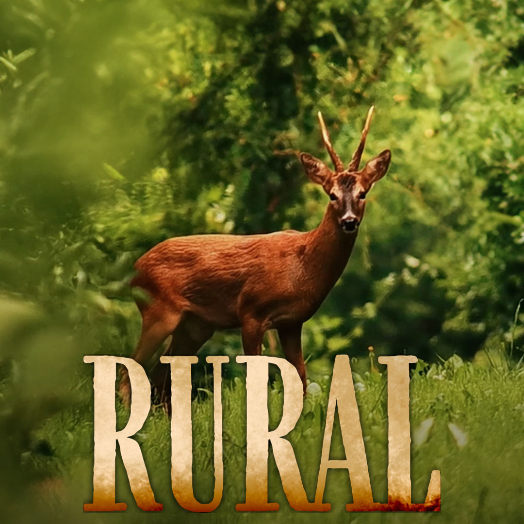 Zone300off's tweet photo. À LA UNE : "Ce film est dédié à la ruralité, à ces personnes qui vivent de la nature, pour et avec elle ; à ces agriculteurs et éleveurs qui nourrissent la France de leur travail..." Un film Lionel Berthault, en exclusivité sur #Zone300. https://t.co/Vj5UNr4kwe