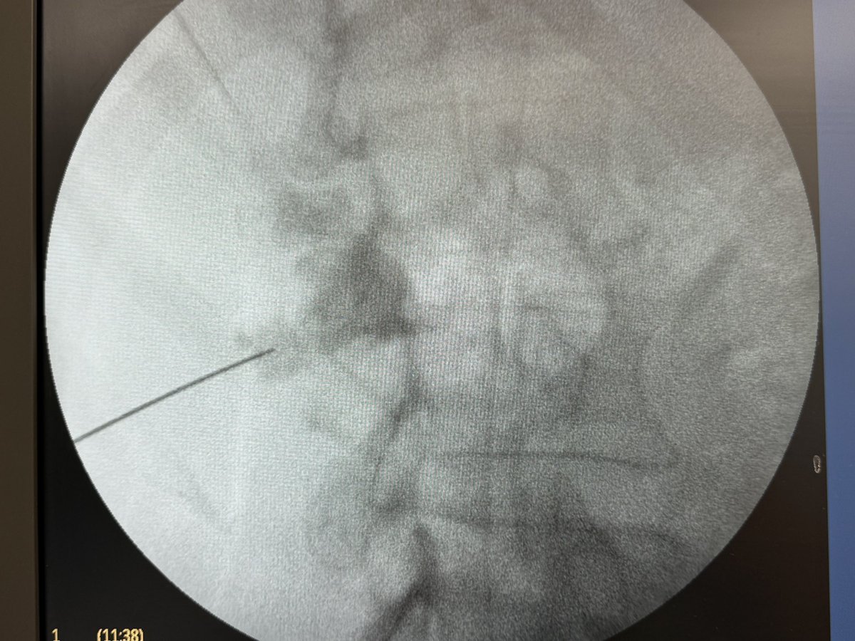 Leye Ajayi tweet media