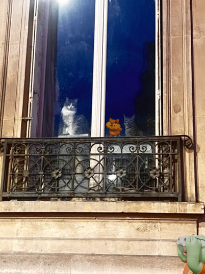 OrdiGotchis's tweet photo. @Solana_Emperor GM! Have you seen my OrdiGotchis Cat?
#Ordinals #OrdiGotchis #Runes #BTC #BTCPets #NFT https://t.co/B2aKPUQvzI