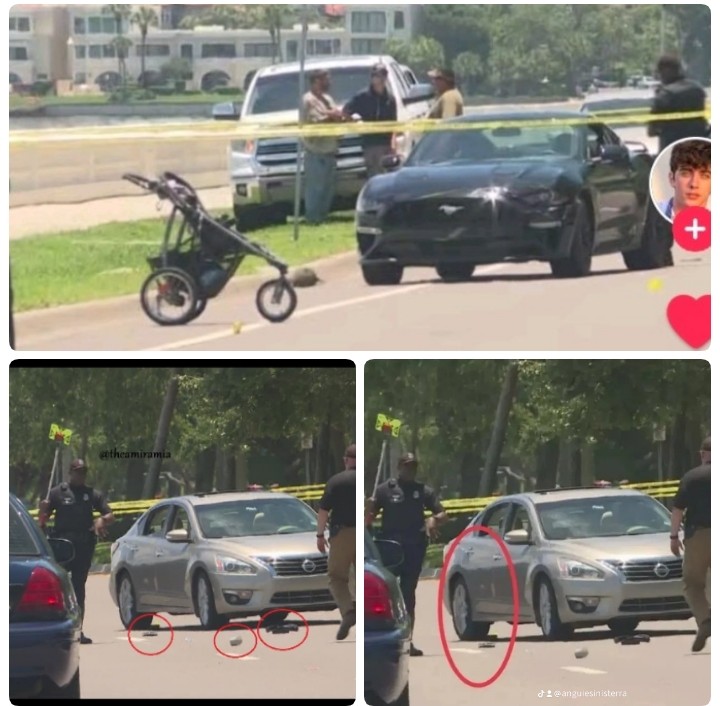When one person runs over another, all the damage remains beneath the person who ran over them.     Jhon Barróneou has all the damages, but they blamed Camero because they saw his Mustang car and also Jhon Barróneau's mother is an accomplice in what his son Jhon Barróneau caused