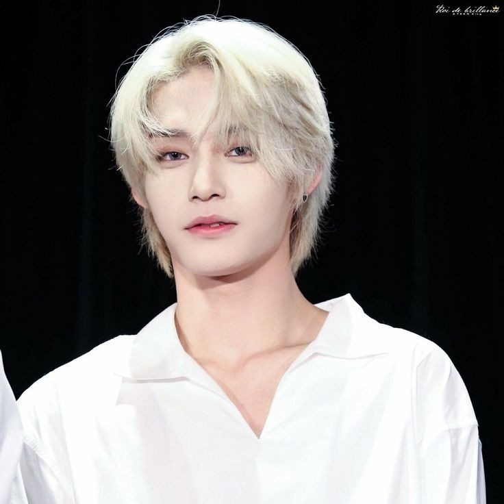 🐻‍❄️ tweet media