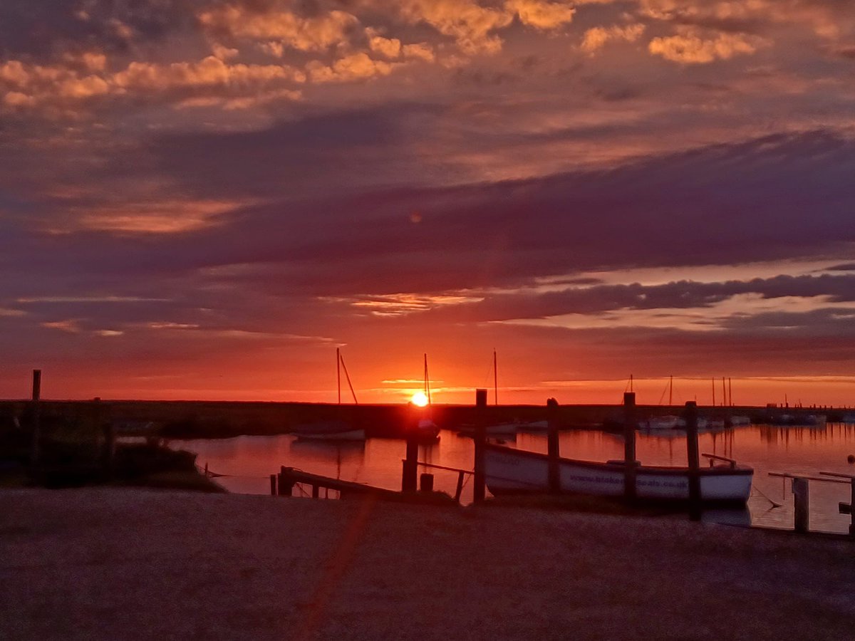 M. Emília Santos tweet media