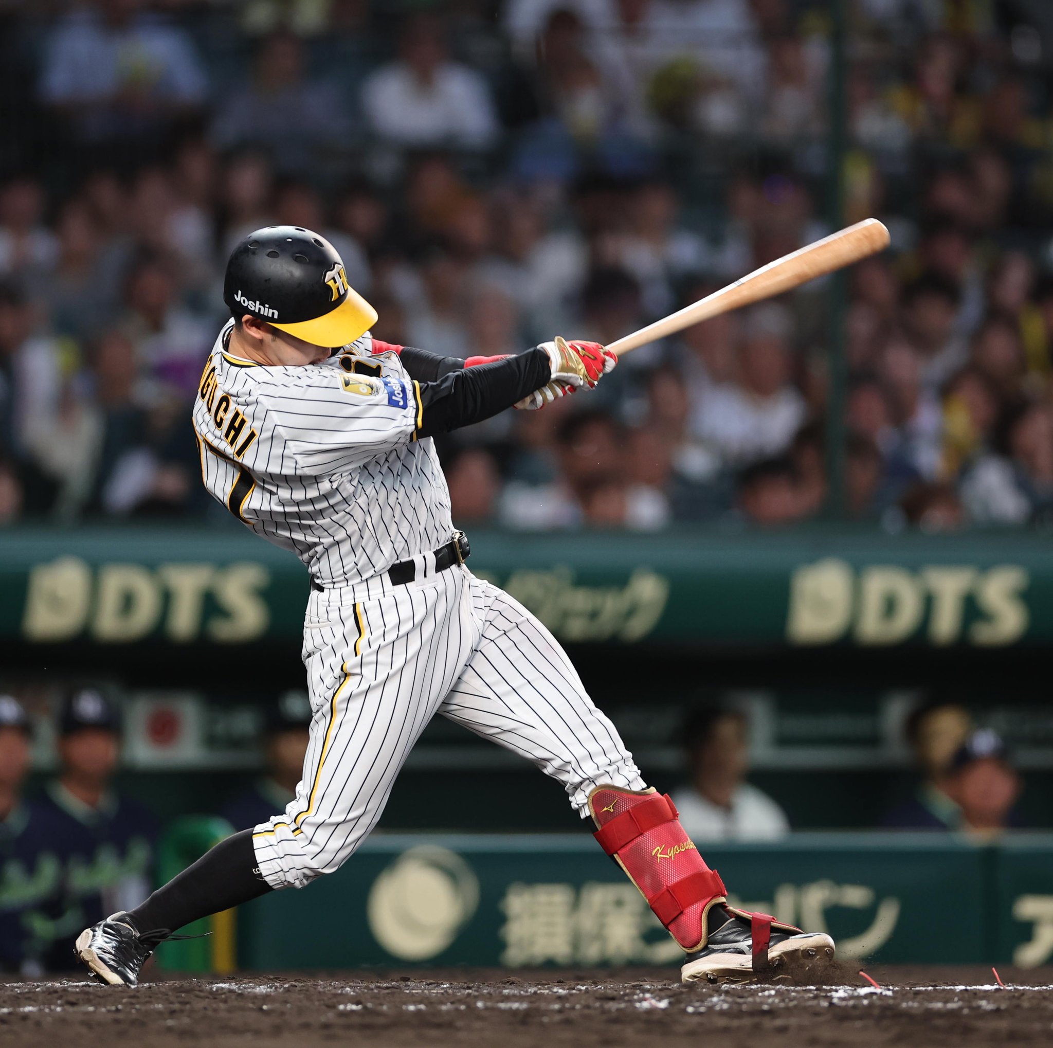 EPOCH ONE ホロスペクトラ 優し 野口恭佑 686-H 阪神タイガース
