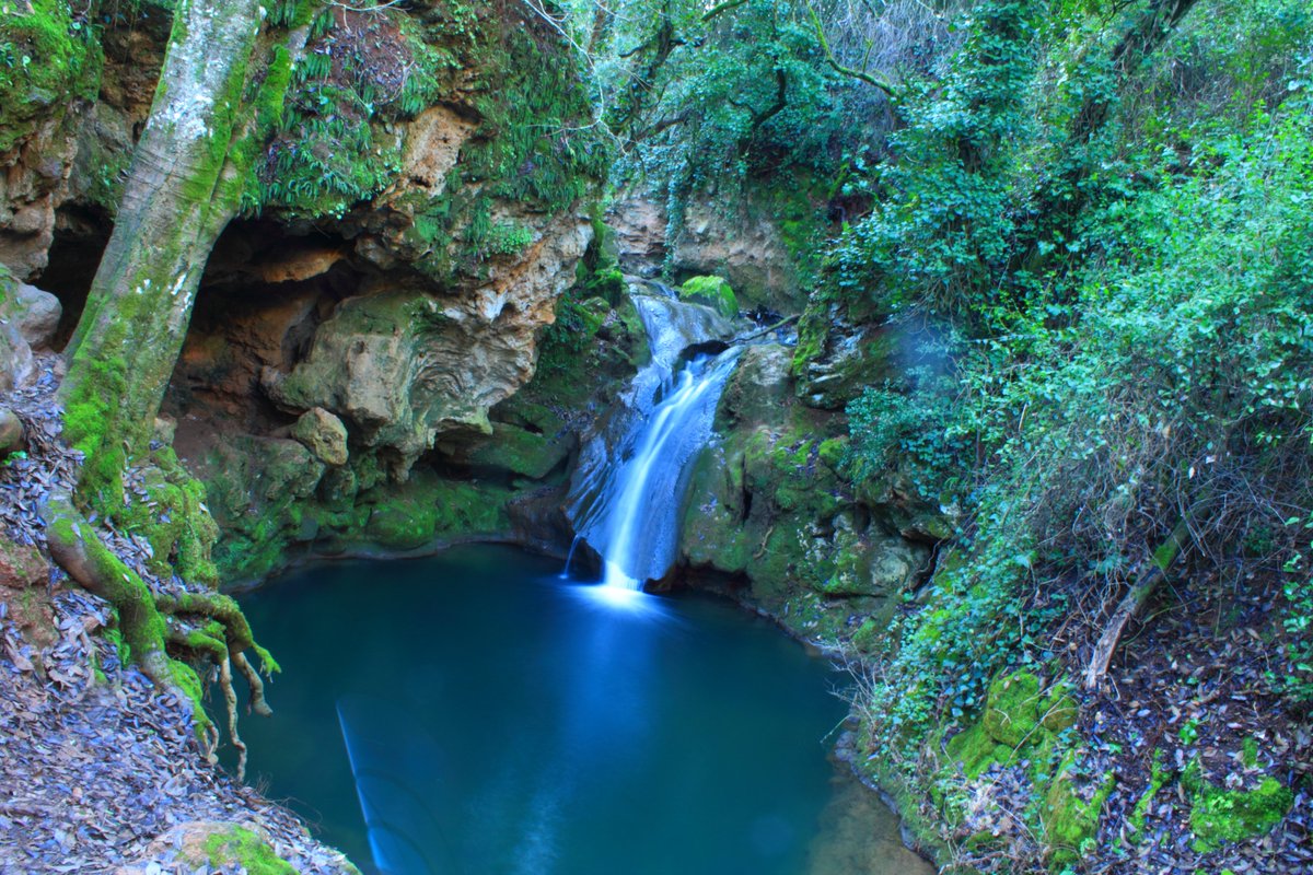 ApadrinaUnaRoca's tweet photo. ⛱️#summerLIG
🧳Lugar de Interés Geológico (LIG): Cañón de las Cabreras y Baños de Popea, #Córdoba
Contiene cascadas y estructuras travertínicas de gran belleza que conforman pozas en los remansos de la trayectoria del río
📸Wikipedia
https://t.co/g3sfYnk77l https://t.co/XlMEmYnzxp