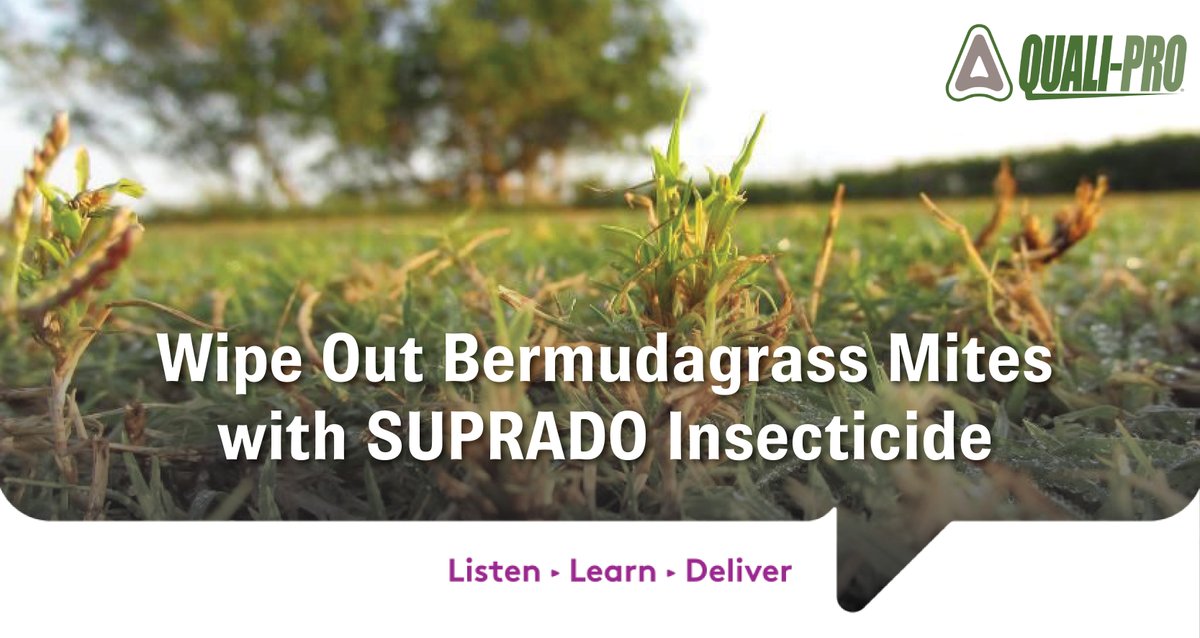 Quali_Pro's tweet photo. Battling Bermudagrass Mites? These tiny, prolific pests are tough to spot and control. 🌿🔬 Suprado's new 2(ee) label is your latest weapon in turf management. #TurfCare #PestControl #Suprado#FightTheMite #TurfCare #Suprado #DefendYourTurf
READ MORE >> https://t.co/y6smBoaIKa https://t.co/YSoCm1li5M