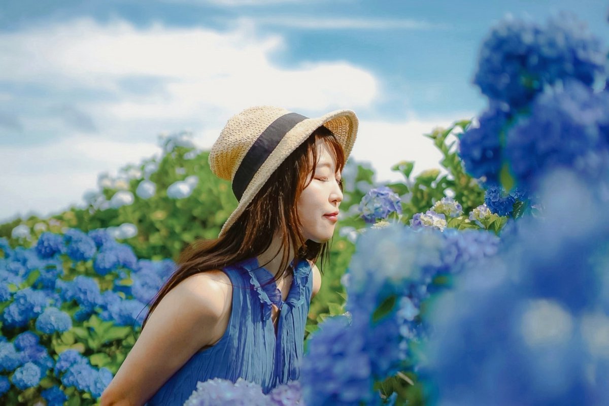 yagi5da's tweet photo. 『アジサイロード』
　やさしさに包まれて
@annchan_666 
＃ポートレート https://t.co/Uv7NNMU7fd