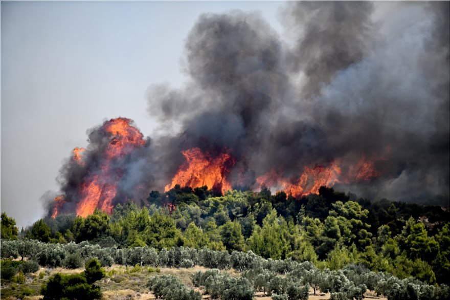 GSCP_GR's tweet photo. Πολύ υψηλός κίνδυνος 🔥 κατηγορίας  4️⃣  για αύριο Πέμπτη 11 Ιουλίου σε:

 🔶 #Αττική &amp; #Κύθηρα
🔶 #Κορινθία #Αργολίδα #Λακωνία
🔶 #Βοιωτία #Εύβοια #Έβρο

🔗 https://t.co/z5UuX7TFSh
ℹ️ https://t.co/RFfYoShzB5 https://t.co/8n4H2e6EhY