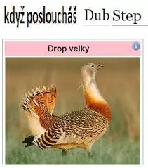Kratochveel's tweet photo. 2018 šlo tvrdě https://t.co/txy0zLydXd