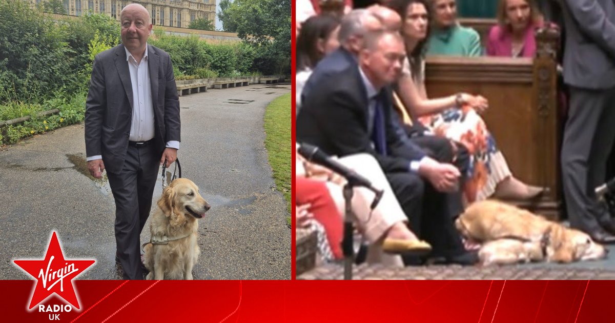 VirginRadioUK's tweet image. Who is the new guide dog in the House of Commons? All the details on the new pup in Parliament

👇
virginradio.co.uk/entertainment/…

#HouseofCommons #Parliament
