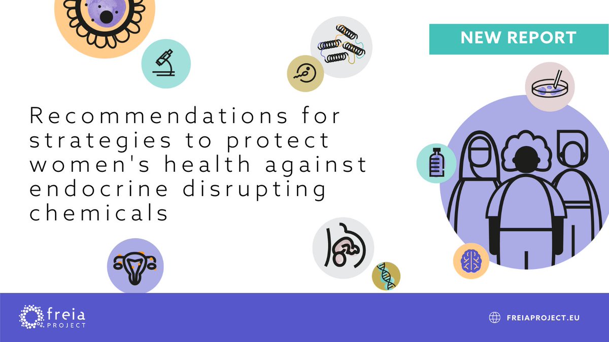 #EndocrineDisruptors pose significant threats to women's #ReproductiveHealth.

Following 5 years of research, the <a href="/freiaprojectEU/">FREIA</a> lists recommendations for health promotion strategies &amp; EU-wide policy action to reduce exposure.

Read more: env-health.org/freia-research…