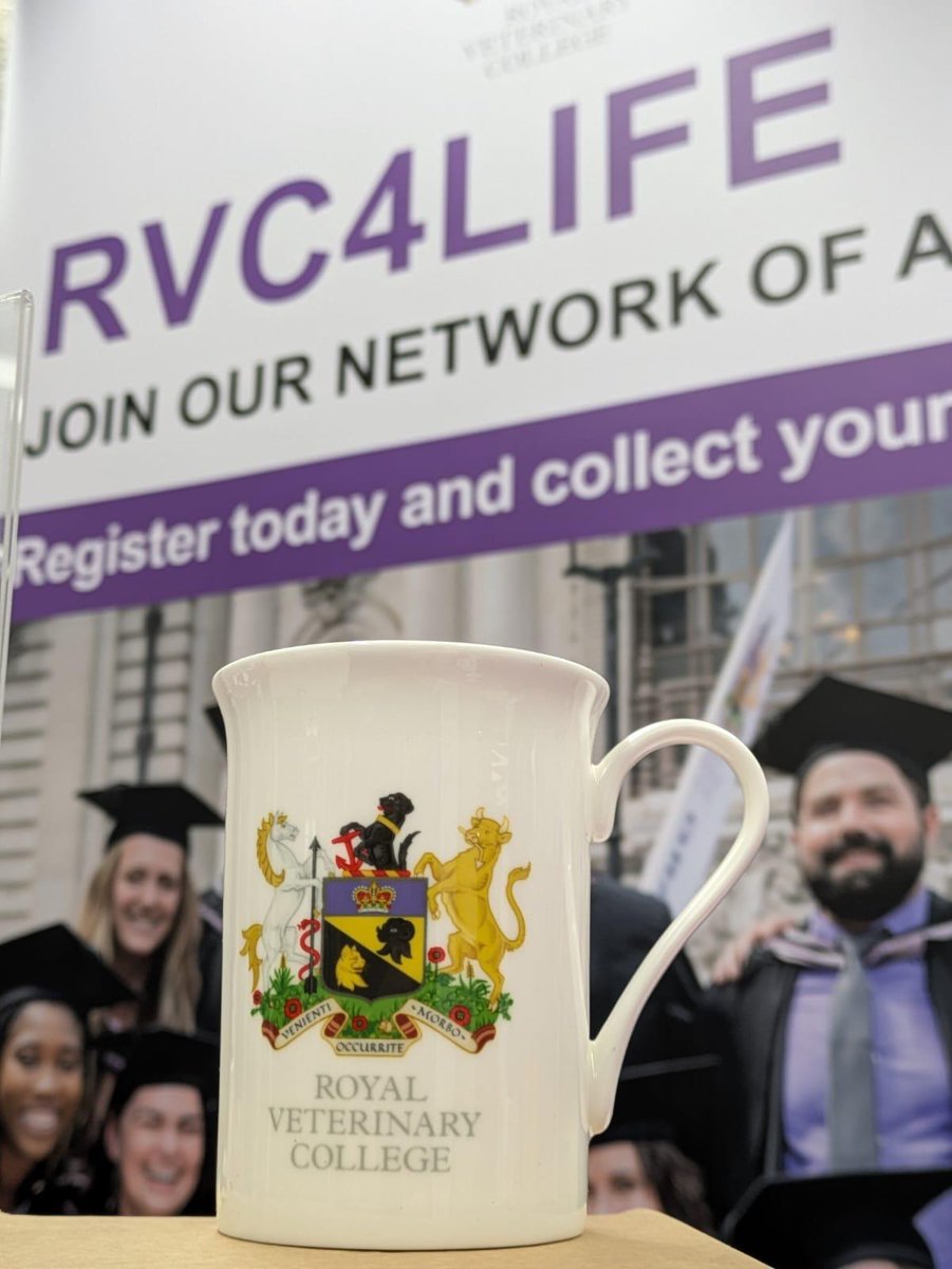 🎓 RVC Graduation 2024 #RVCgrad24

Alumni that are with us at Graduation today - don't forget to sign up to #RVC4Life at the Queen Elizabeth II Centre for the latest news, event invites and to stay connected to the RVC.

➡️ Read more: rvc.ac.uk/rvc4life-alumni