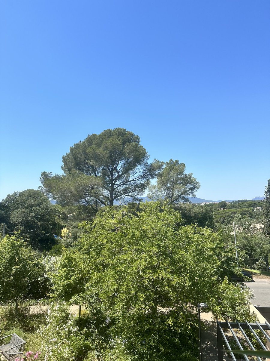 Wish my view was always like this while doing some #CPD #interpreting #TheTogetherConference