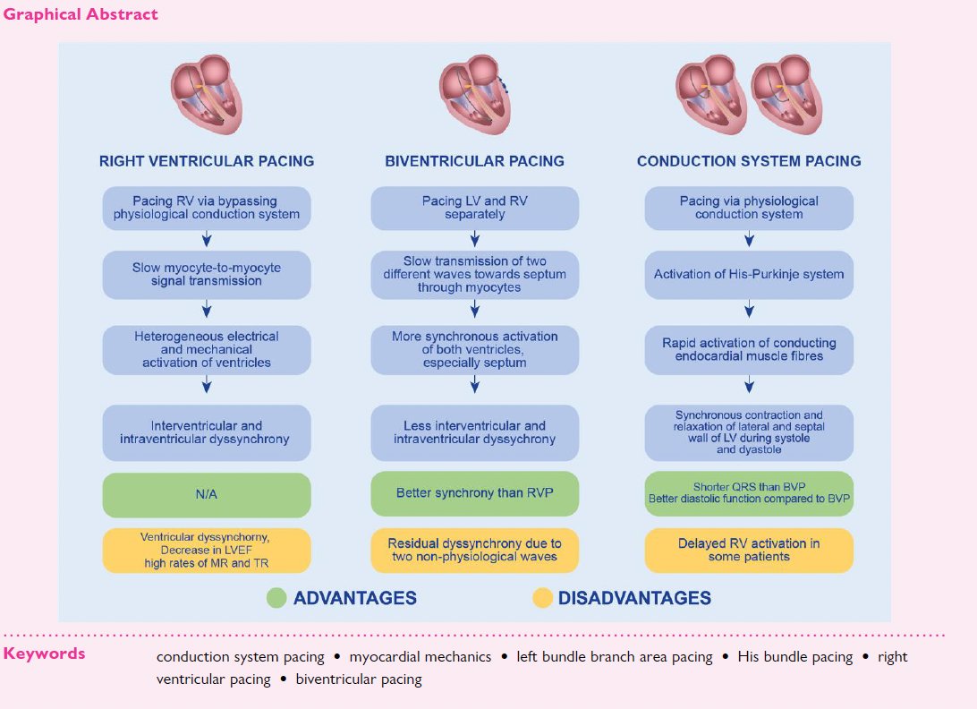 MondaEmanuele's tweet photo. Enhancing cardiac pacing strategies: a review of conduction system pacing compared with right and biventricular pacing and their influence on myocardial function

@ESC_Journals @escardio 

https://t.co/bAzNxwTuJy https://t.co/YYKAg7ip0f
