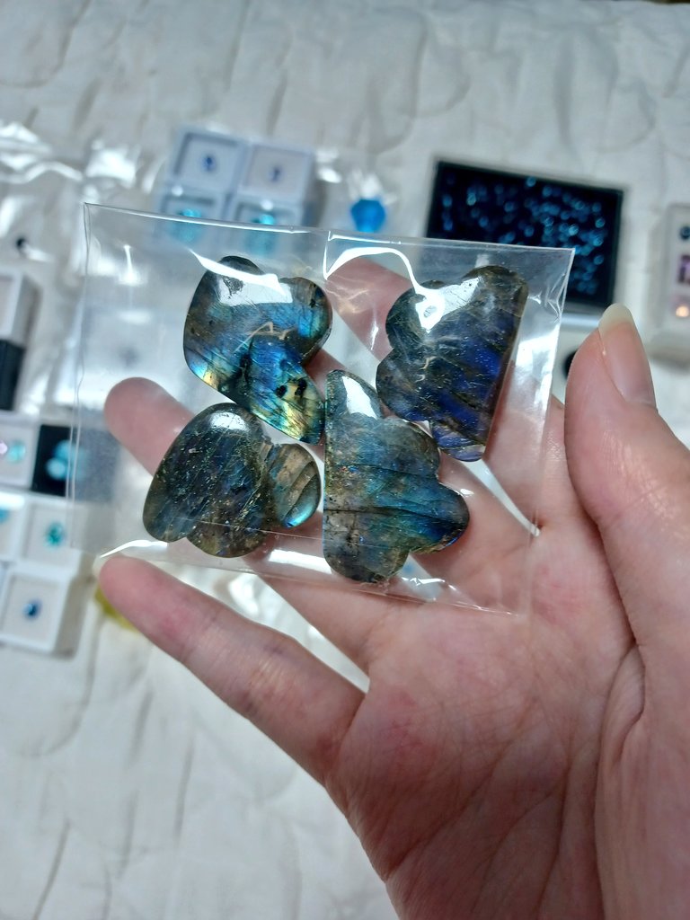 Twinkle_gam's tweet photo. https://t.co/A4QfFJyN2X