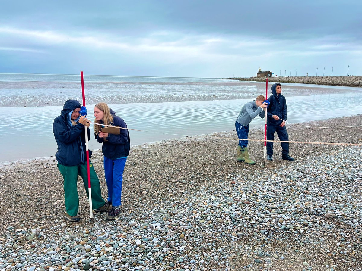 BSS Geography tweet media