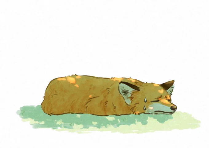 #このタグを見た人は黙って狐をはる