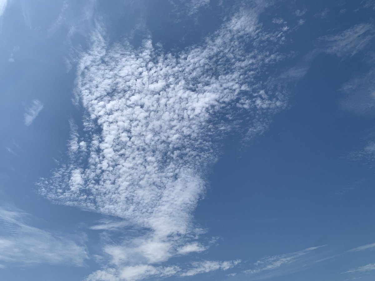 TamaraAlexis's tweet image. #parallelworlds Paris copes or periscopes; we share our dears, a multiplex of types of languages, slang, sign, slogans, innuendos, accents, marketing techniques our human race might recognize as increasingly curious will inevitably grasp opportunity to gain knowledge.