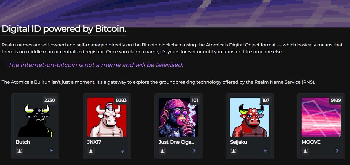 +BULLRUN tweet media