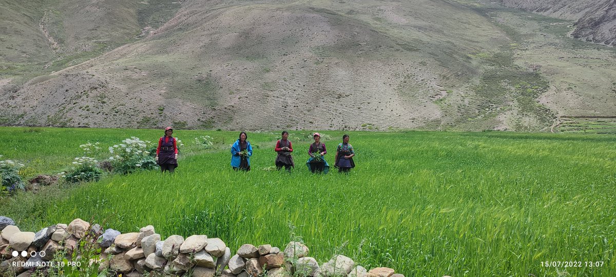 Lower Dolpo Trek is one of the most exciting and challenging treks situated in the western hills of Nepal, which allows the trekkers to experience the real adventures of trekking on an off-the-beaten path. 
Few memories from the year 2022 with British guests.