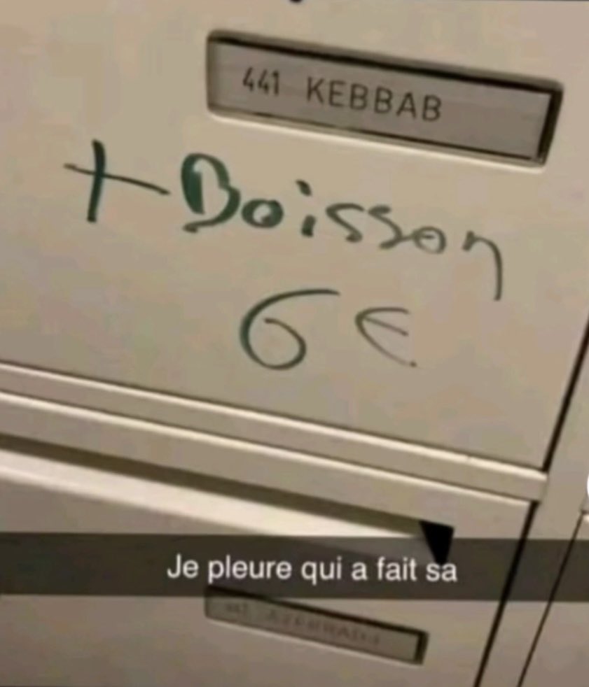 Tema ils ont fait quoi à la boîte 
à lettre du frero ces chiens