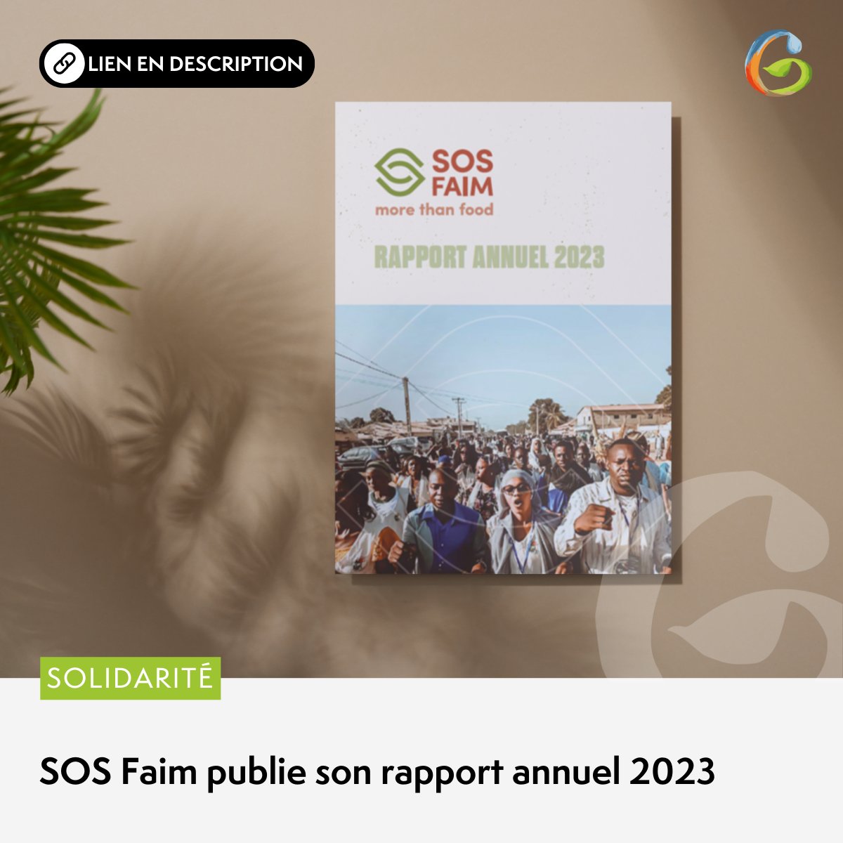📣 La faim demeure une réalité tragique pour des millions de personnes à travers le globe. En effet, en 2023, 281millions de personnes, dans 59 pays, étaient confrontées à une insécurité alimentaire aiguë. ➡️ loom.ly/6-GR4es