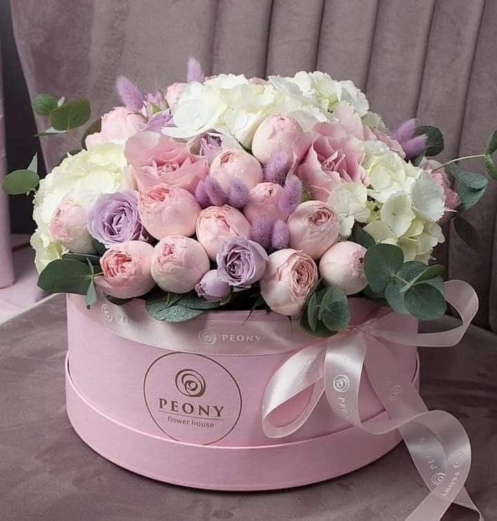 مساء الخير 💜

للرفقة الجميلة الذين يسكنون 
بين النبضة والنبضة ...
لمن لاتحلو الحياة إلابهم 
     وتهون كل الصعاب معهم ،، لأنهم احبونا فالله واحببناهم فيه !!!!

مساء الابتسامة والسعادة الدائمة لكم 🌸🎼

 #مساء__الخيرِ  والورد 💜
 #مساء_الخير_والسعادة