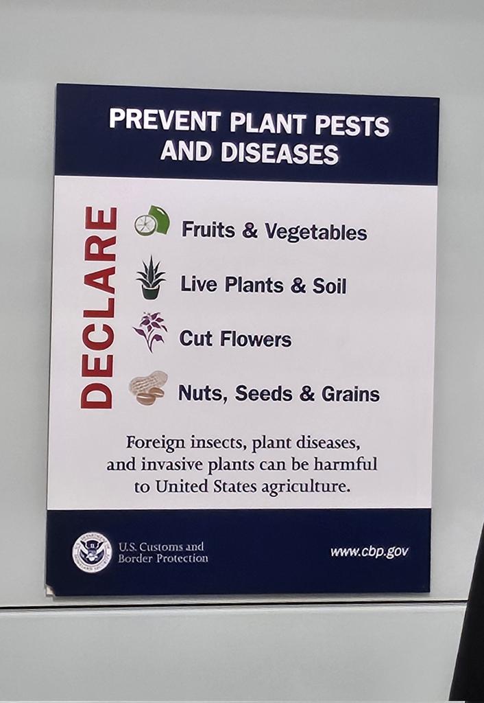 DPNJ's tweet image. Two hours to clear customs from Dublin to US.  I should have flown to Mexico and strolled in.  #USBorder #Customs