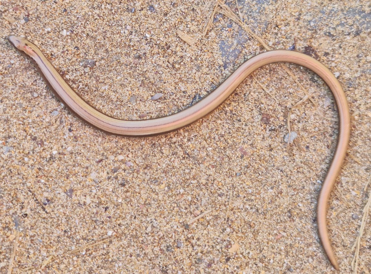 scott barber tweet media