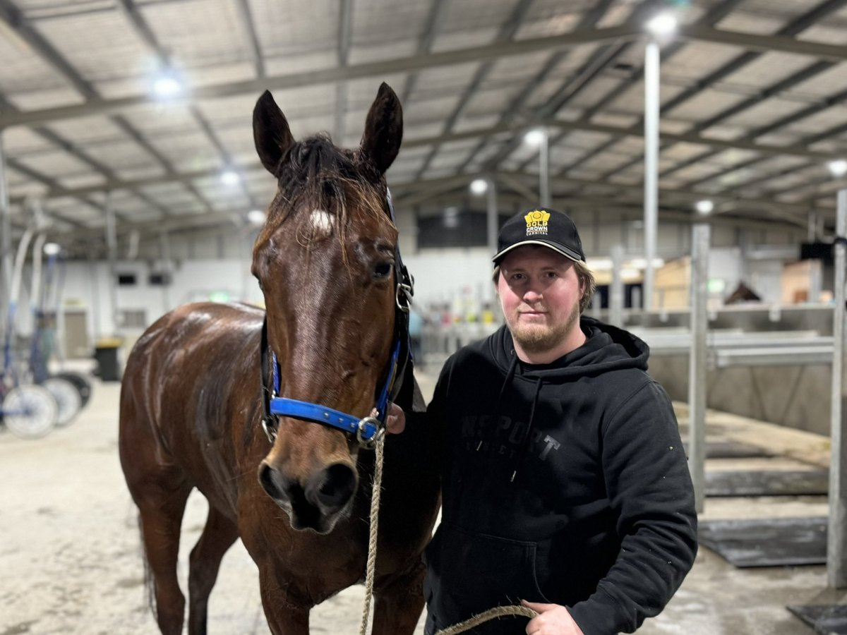 🥇The Geoff Simpson trained PUPPETEER has taken out the BATHURST TOYOTA PACE for Blake Medlyn.

🥈| A LIL BIT OF LOVE
🥉| HALL CASH 

Congratulations 👏