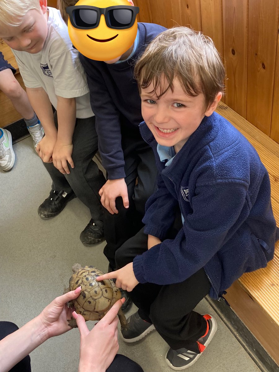 Class 4 Whitegate tweet media