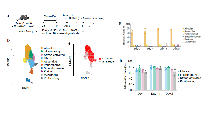 Tatsuya Tsukui tweet media