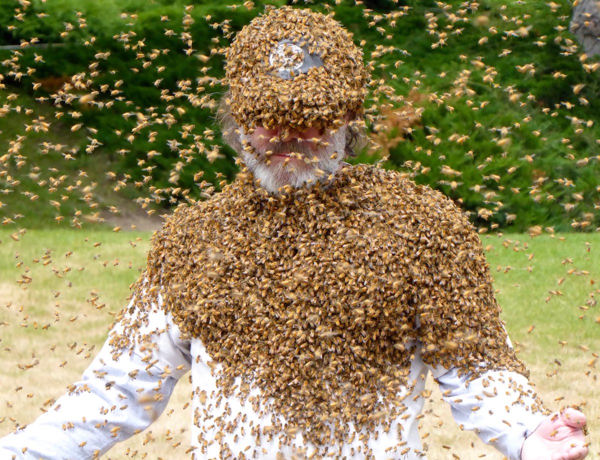 PaulStamets's tweet photo. Being surrounded by these magnificent creatures reminds me how important they are for our ecosystem.🐝 https://t.co/9UEjYzLJU0