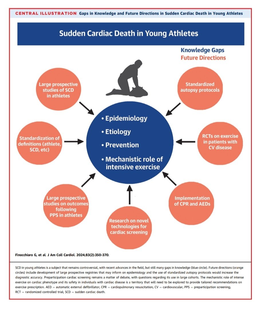 The Heart tweet media