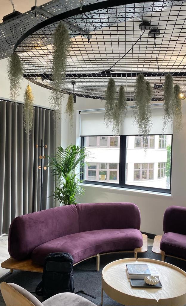 JustPlants's tweet photo. We really enjoyed working on this lovely office fit out...

A wonderful colour palette, combined with natural elements. 

Bravo @paramount_db @bc_consultancy 👏🏻

#officedesign #plantsatwork #officeplants #plantdesign #officespace #officespace https://t.co/P6mGEY6rQT