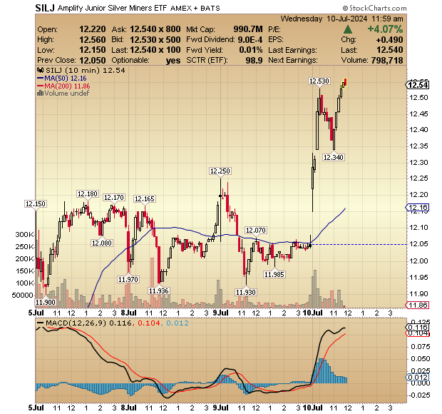 Silver Miners $SILJ