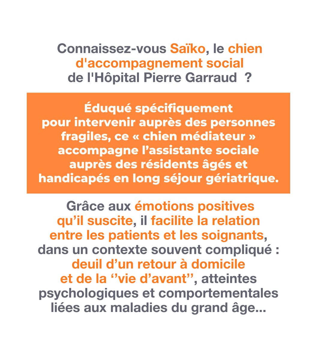 FondationHCL's tweet image. « SURFEZ SOLIDAIRE » POUR NOUS #SOUTENIR 🐕🖥️

Pour améliorer le bien-être physique et mental de nos aînés au @CHUdeLyon, contribuez #gratuitement au développement de la #canithérapie en utilisant le moteur de recherche #solidaire @Lilo__org 👉 shorturl.at/w5B8v