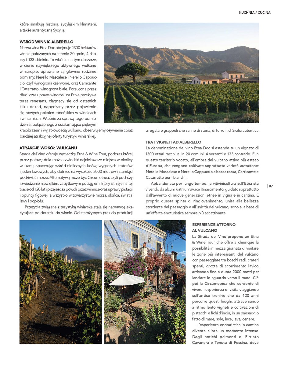 gbmarchetto's tweet photo. su #GazzettaItalia accompagno lettori polacchi (e italiani) alla scoperta della "muntagna" e dell'anima del vulcano nei vini dell'Etna
@stradaVinoEtna 

#etna #volcanicwines #volcano #GazzettaItalia https://t.co/cNJPNEsslX
