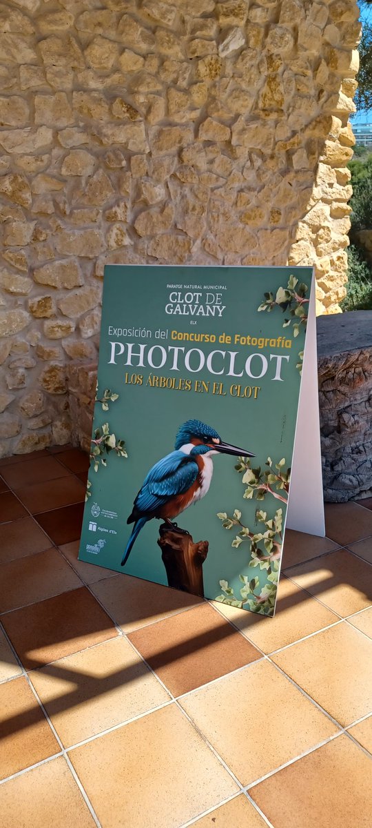 📣¡Nueva parada de la exposición del Concurso de Fotografía! Los árboles del Clot han ocupado esta vez el Aula de la Natura del Clot de Galvany este verano ☀️ ¡Tomate un descanso de la playa y  ven a disfrutar de esta magnífica muestra fotográfica! 🌳📸