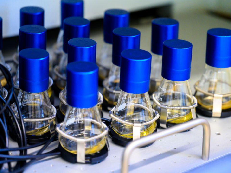 scientific_bio's tweet image. Check out our blog that covers a cultivation step-by-step to understand which aspects are important for good reproducibility, including tips and tricks! ☑️ Read now: bit.ly/4cUcVfP

#science #shakeflask #reproducibility