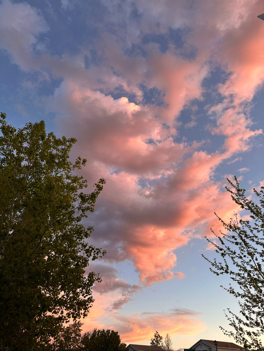 happy birthday to my favorite person mal! you’re smart funny beautiful so caring and always there for me you’re the total package and i couldn’t be more grateful to have you in my life even tho you’re 4500miles away from me i feel closer than ever to you! i love you til the end🩷