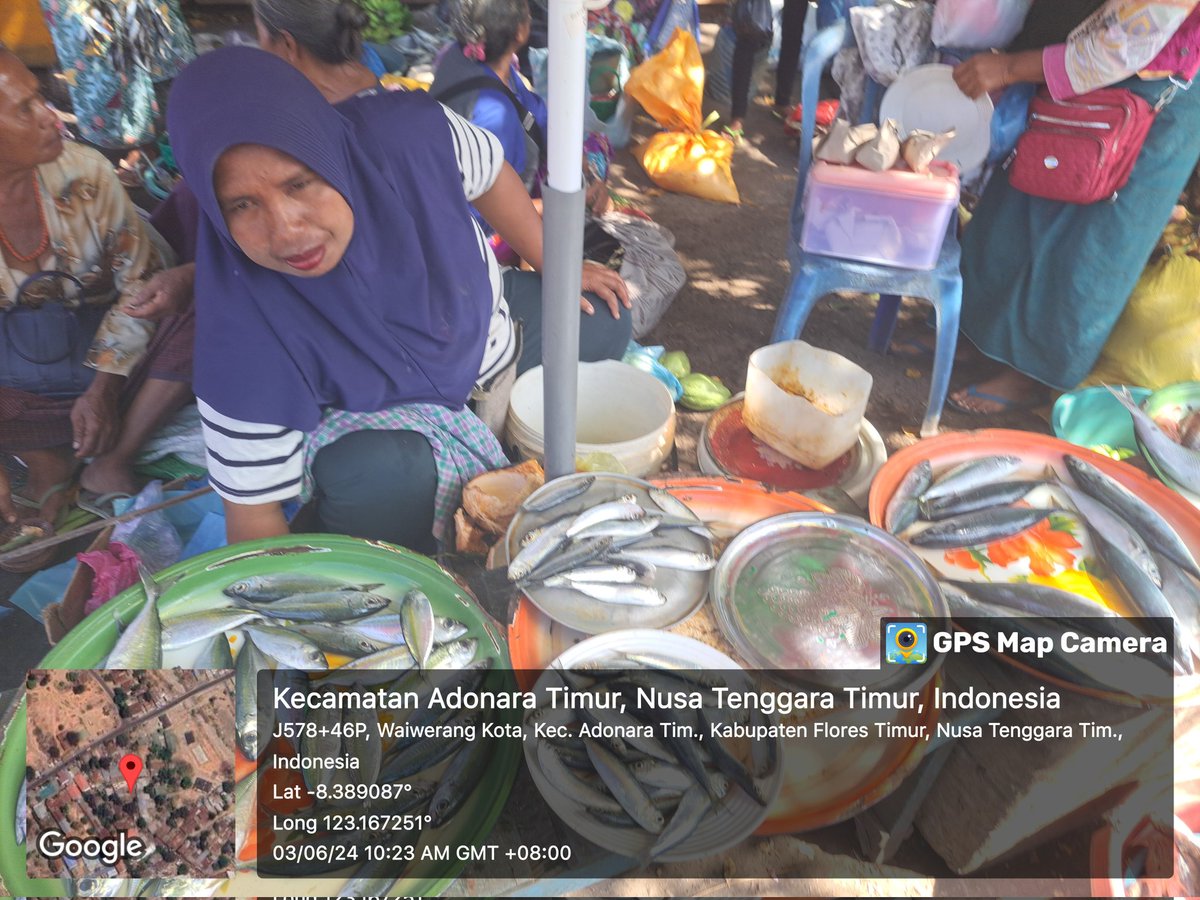 YohMariaVianei's tweet photo. Senin (03/06/2024), Yoh Maria  Vianei Keni Bolen, Luhkan Flores Timur, di Pemasar Ikan An. Fathima Ratu, asal Desa Waiburak, Kec. Adonara Timur, mendata produksi ikan layang dan selar, sebanyak 70 kg, harga Rp. 20.000-30.000/Kg
#GiatLuhkanSatminkalGondol 
#Flotim #produksi https://t.co/RjqRaZljPv