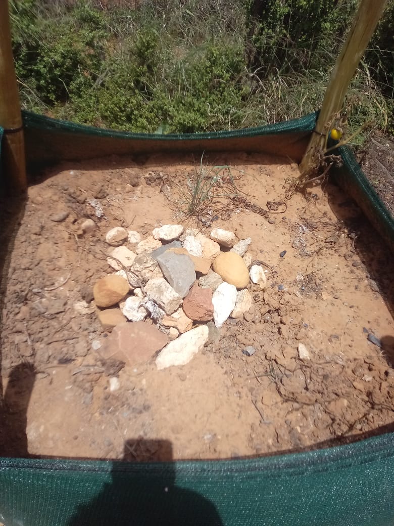 𝗨𝗯𝘂𝗻𝘆𝗲. 𝗧𝗼𝗴𝗲𝘁𝗵𝗲𝗿 𝗶𝗻 𝗟𝗲𝗮𝗱𝗲𝗿𝘀𝗵𝗶𝗽

Sinako Field Officer, Lungiswa, is offering her assistance to ECD practitioners and PWGs in Mgcamabele to help them create a TVGs at their centre. 
These TVGs will provide food to both the learners and the community