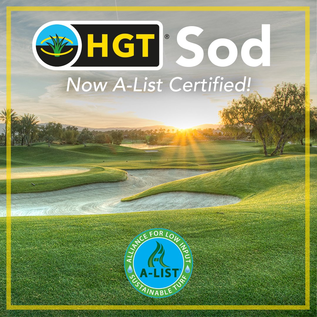 BarenbrugUSA's tweet photo. We are excited to announce that our premier Kentucky bluegrass blend, HGT Sod, is now an A-List Turf certified product, affirming its position as the top choice for golf courses and athletic fields. 🌱

This certification highlights #HGT Sod's superior qualities. 💪

Learn more: https://t.co/YkzAom8rf9